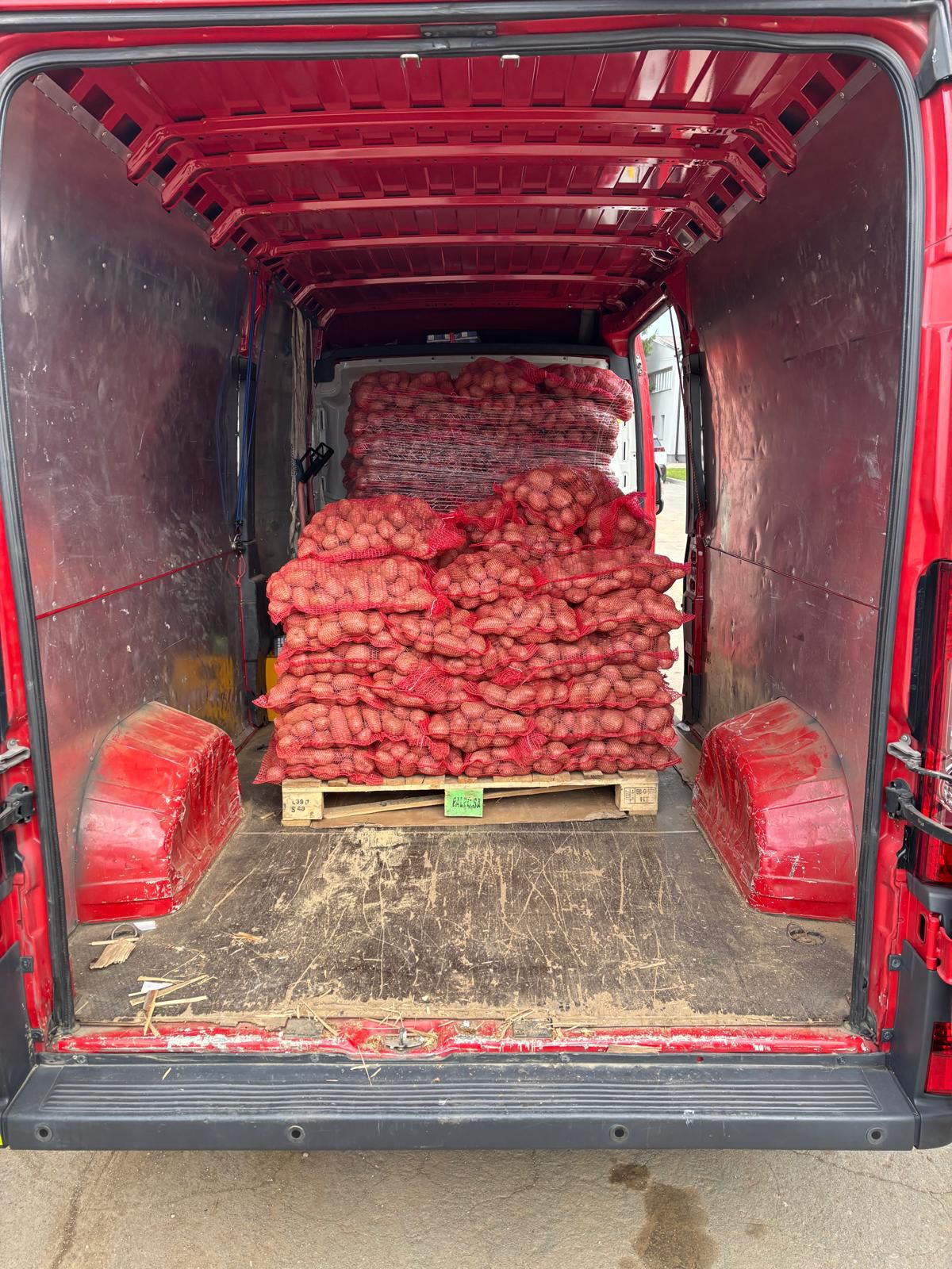 Profesionalni prijevoz